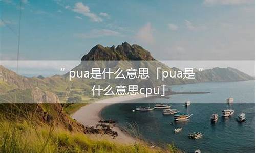 pua 什么叫_pua为什么叫cpu